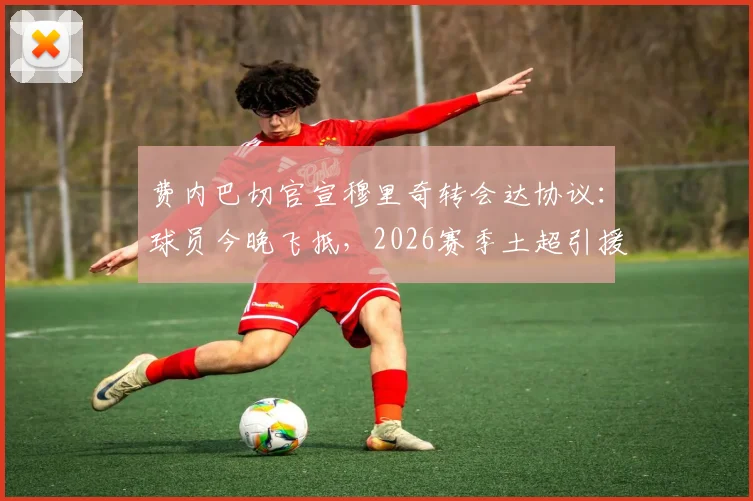 费内巴切官宣穆里奇转会达协议:球员今晚飞抵,2026赛季土超引援重磅动态
