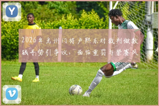 2026年光州门将卢熙东对裁判做数钱手势引争议，面临重罚与禁赛风险分析